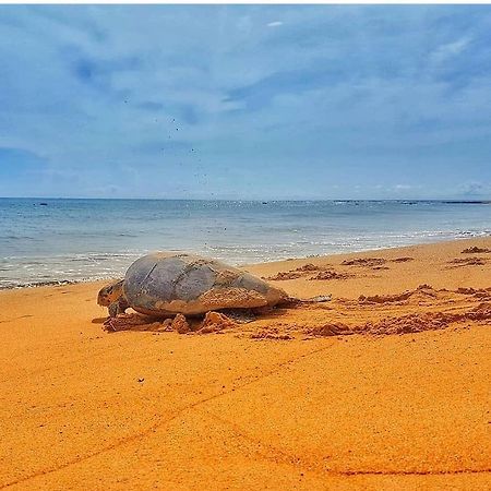 Pousada Costa Dourada Baía Formosa Exteriér fotografie