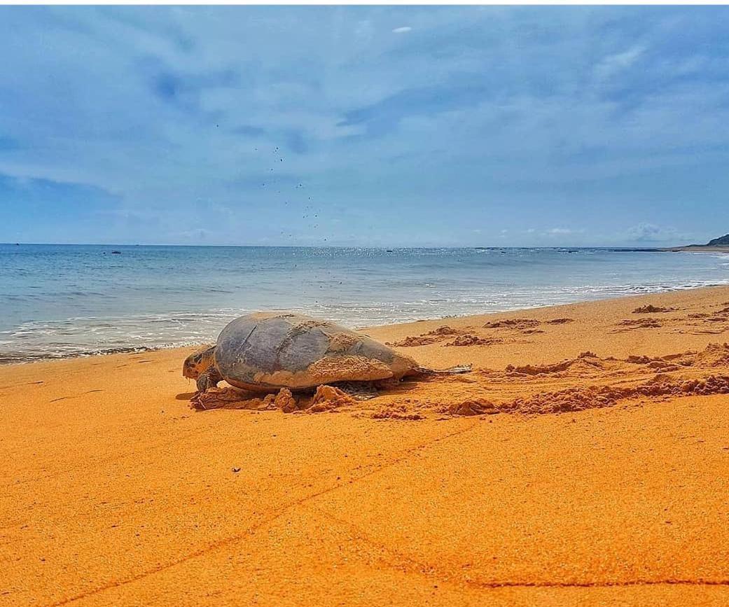Pousada Costa Dourada Baía Formosa Exteriér fotografie